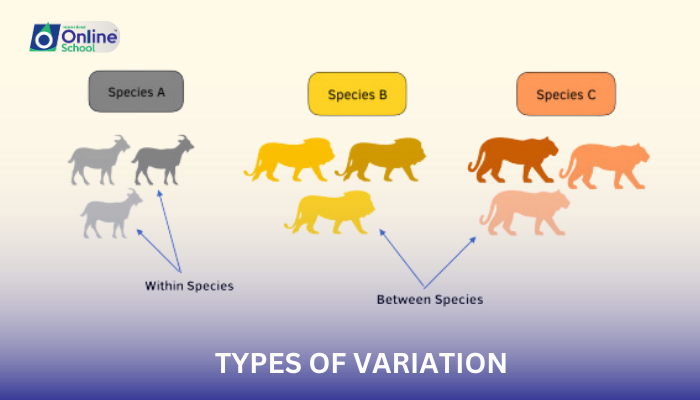 Lesson 12: Types of Variation